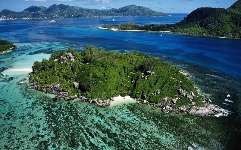 移民美國多久可以出國？全面了解移民流程與時間安排